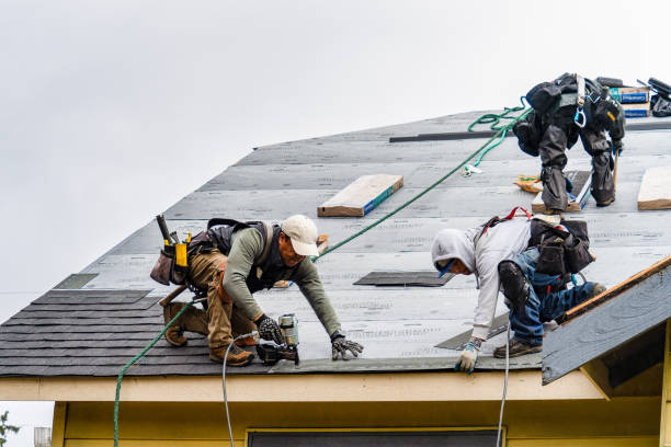Professional Roof Replacement technician working in Buck Creek, IN